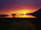 Sunset ending 30-5-04.jpg
